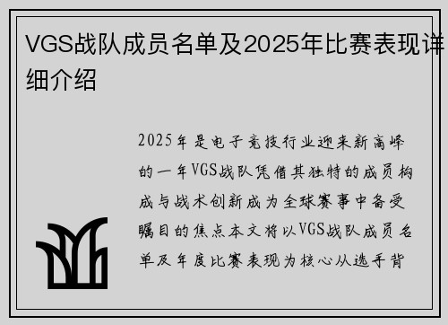 VGS战队成员名单及2025年比赛表现详细介绍